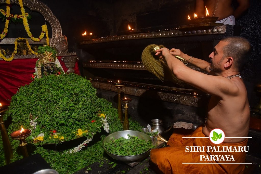 Udupi Shrikrishna Daily Darshana - Lakshmi Kavacha Alankara