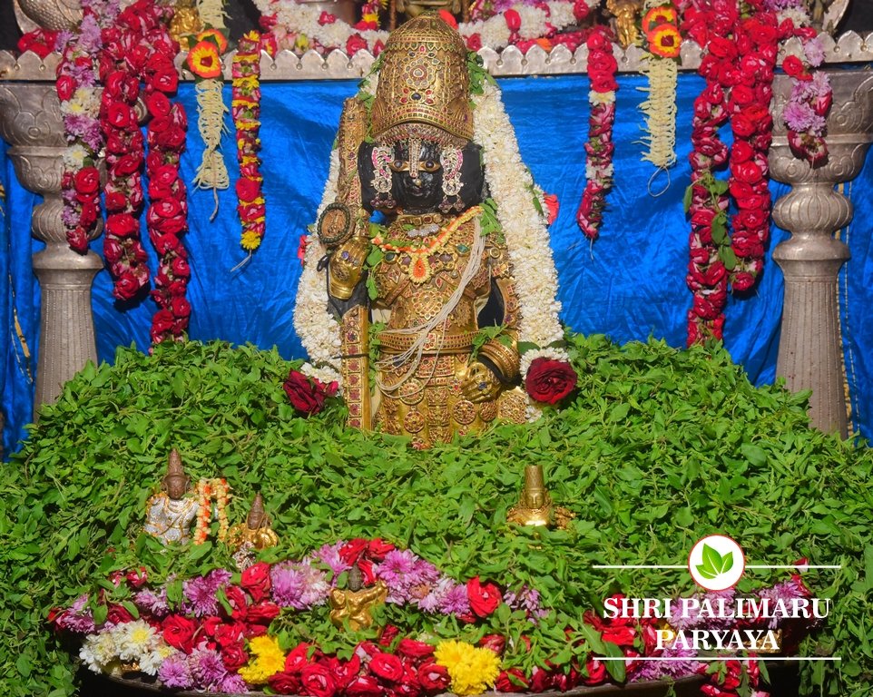 Ratna Kavacha Alankara - Udupi Krishna Nitya Darshana