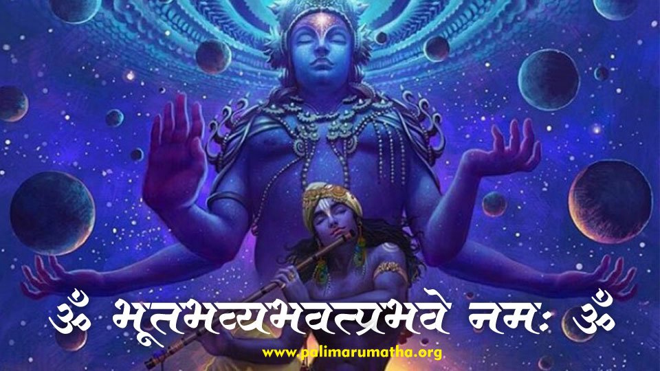 Daily Events at Udupi