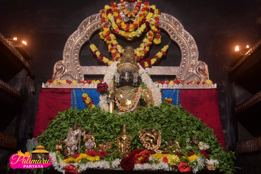 Nitya Darshana - Vadiraja Samrpita Navaratna Kavacha Alankara