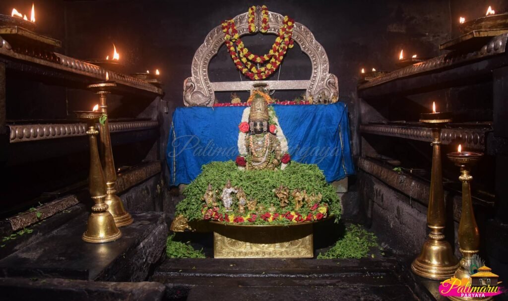 Nitya Darshana - Vadiraja Samrpita RatnaKavacha