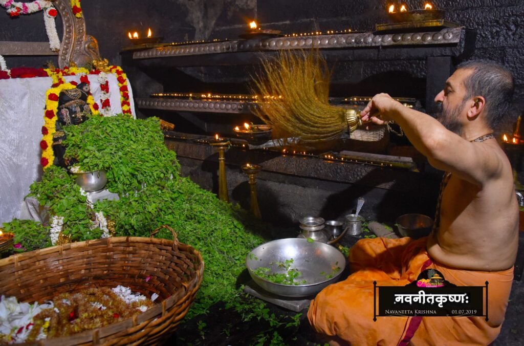 navaneeta krishna alankara